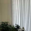 온리유스파