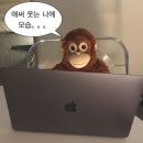 수영목장 | 여행기 Part3 (베나자 판랑사막투어 (내돈내산) / 양떼목장 / 포롱자라이 / 사막선셋 / 나트랑3월저녁수영)