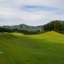(주)정도 | “부부골퍼 강력추천⛳로얄포레CC 현실 라운드 후기 (꿀팁 포함)”