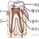 리더스치과 네이버블로그