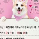 이의종동물병원 네이버블로그