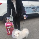 (주)베스트메디칼 이미지
