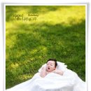 레몬트리 이미지