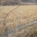 홍성부동산중개사무소 이미지