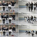 포인트독 이미지