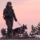 국군의학연구소 동물병원 이미지