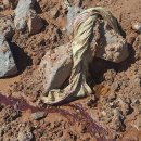 성주산건강마을 이미지