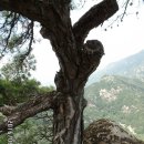 도림사(매표소) 이미지