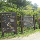 한글날 축령산 번개 산행 알림(10월 9일) 이미지