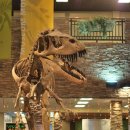 알로사우루스 이미지