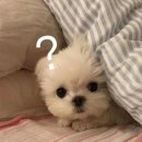 오늘의다은 이미지