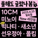 [공연] 2023 올해도 글렀나봄 후기&amp;꿀팁 + 미노이 새소년 선우정아 빅나티 폴킴 10cm 퇴근길 직캠 ✨