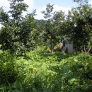 코리농장 이미지