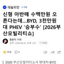 신형 아반떼 수백만원 오른다는데…BYD, 3천만원대 PHEV ‘승부수’ [2026부산모빌리티쇼] 이미지