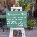 메밀과만두가있는모퉁이 이미지