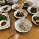 돌캐 이미지