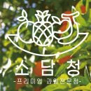 소담청 수요일 이벤트 스테비아 토마토 1통 3900원 @.@ 띠용~ 이미지