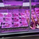 시우축산 이미지