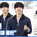 댕댕미미 이미지