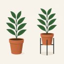 이에스원 | 마당 화분 쓰러짐 걱정 끝! 에스원마켓 삼발이 철제 화분받침대 리얼후기