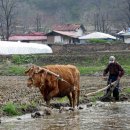 나주여인숙 이미지