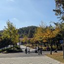 삼천리대극장 | TEL 텔코리아 패밀리데이 후기 | 서울대공원에서 보낸 완벽한 하루