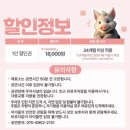 어린이 참여 뮤지컬 늑대숲 또옹돼지 원정대 네이버블로그