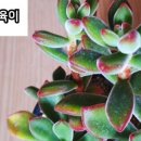 금환농원 이미지