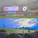 위즈파파 이미지