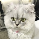 지오테크잉크 이미지