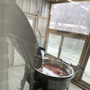 양지천 | [용인 양지면 맛집] "정들레" 방문 후기 (Feat. 점심, 한식, 밥집, 공기밥 무한리필)