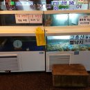 행운동-36 이미지