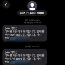 훈민정음 09-35 | 부산 임산부 혜택 마마콜 직접 타본 후기, 가입 방법부터 결제 꿀팁까지!