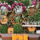 서울파피루스 이미지