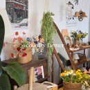 농부와바다 | 강화도 바다뷰 카페 시골농부 쌀베이커리 두바이쫀득쿠키 두쫀쿠 택배 가능