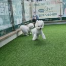 안산원곡 유치원 | 럭키비키한 1월 기록 🍀
