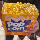 게임월드 | [경주여행🚊] 경주월드 눈치게임 실패후기 &amp;황리단길 한식주점 “고도리”