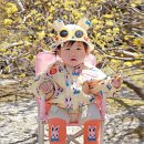 왕산석갈비 | 아기랑 여행 구례산수유꽃축제 함께 23SS 베베드피노 로즈라팡바람막이 세트후기