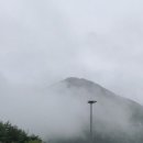 메가커피정동점