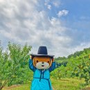 충주프라자약국 이미지