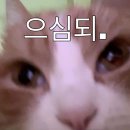 SD마트 이미지
