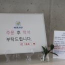 카페네르하