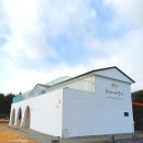 복합목장 | 제주 아이랑 가볼만한곳 목장카페 밭디 서귀포 승마 체험