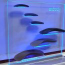 마디바름한의원 | 역삼역 마디바름한의원이 발목질환을 다루는 법