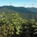 백두대간작은마을 이미지