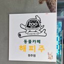 해피주 동물카페 원주점 | 원주 실내 가볼만한곳, 동물체험 &#39;해피주 동물카페 원주점&#39;