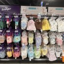 몰리스펫샵 이마트광교점 이미지