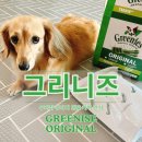 아미덴탈 | [개껌은 뭘 먹이면 좋을까?]내돈내산 강아지 덴탈껌 그리니즈 개껌 간식 솔직 후기