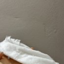 스테이99.9 이미지