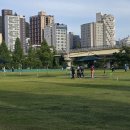 골든장 네이버블로그